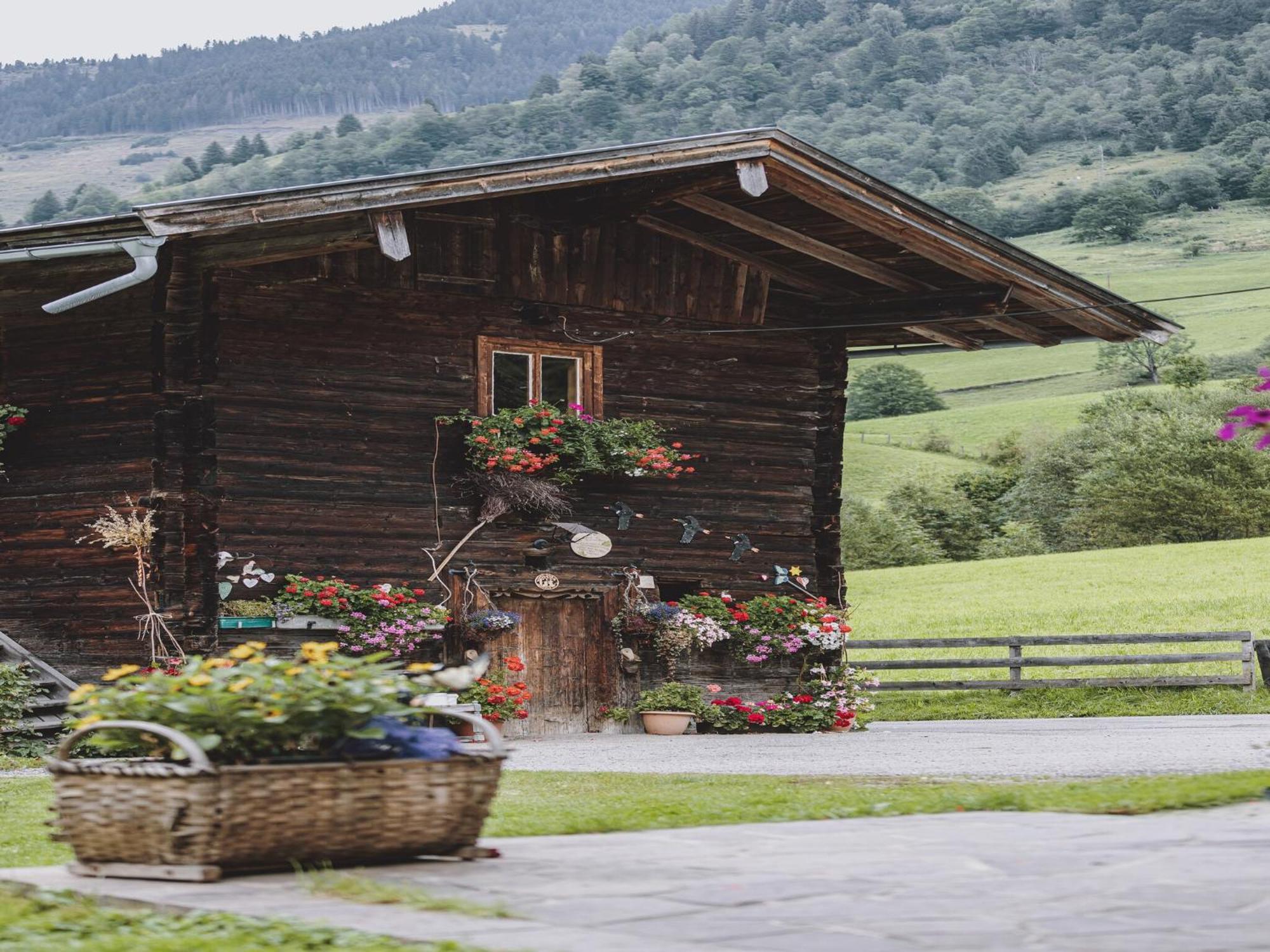 Holiday Home Fusch An Der Glocknerstra E Fusch an der Grossglocknerstrasse Buitenkant foto